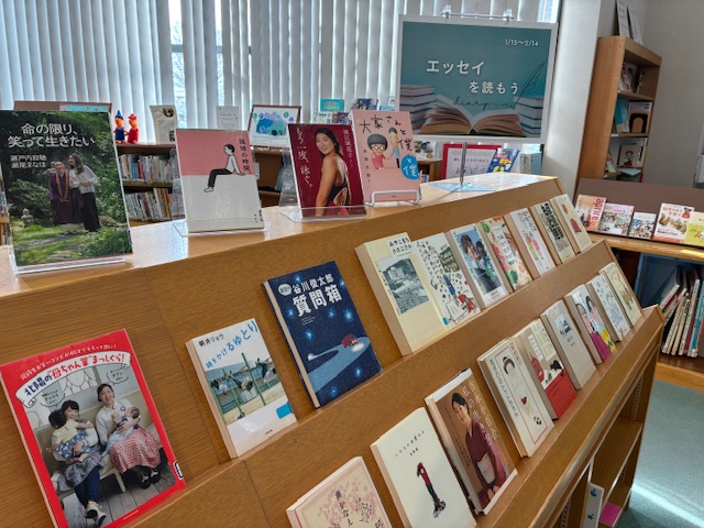 展示の写真です。