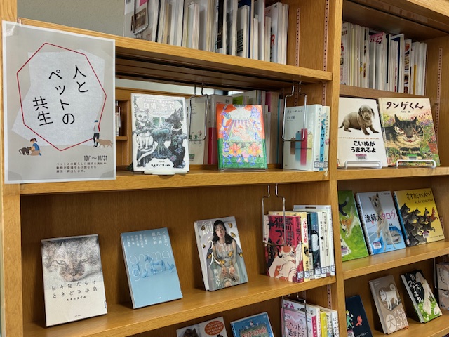 展示の写真です。