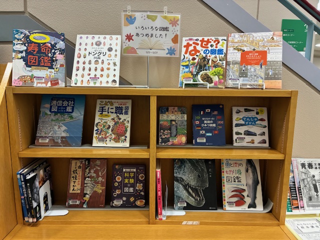 展示の写真です。