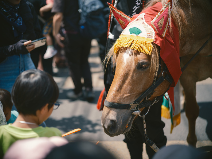チャグチャグ馬コ行進行事の様子