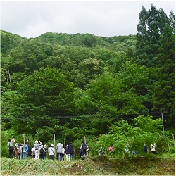 森林や里山などをテーマとしたツアーで得られる感動体験