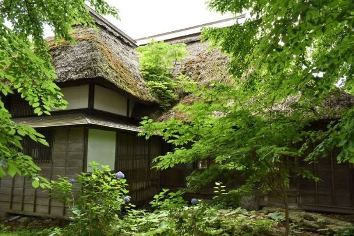令和8年7月現在の生家西側