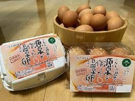 温泉卵