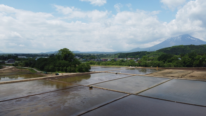 ほ場（武道地区）