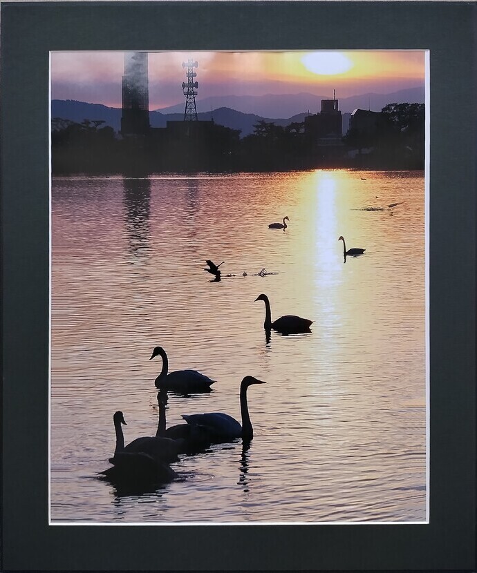 「夕陽のつどい」阿部 佳代子(幅690×高さ830)