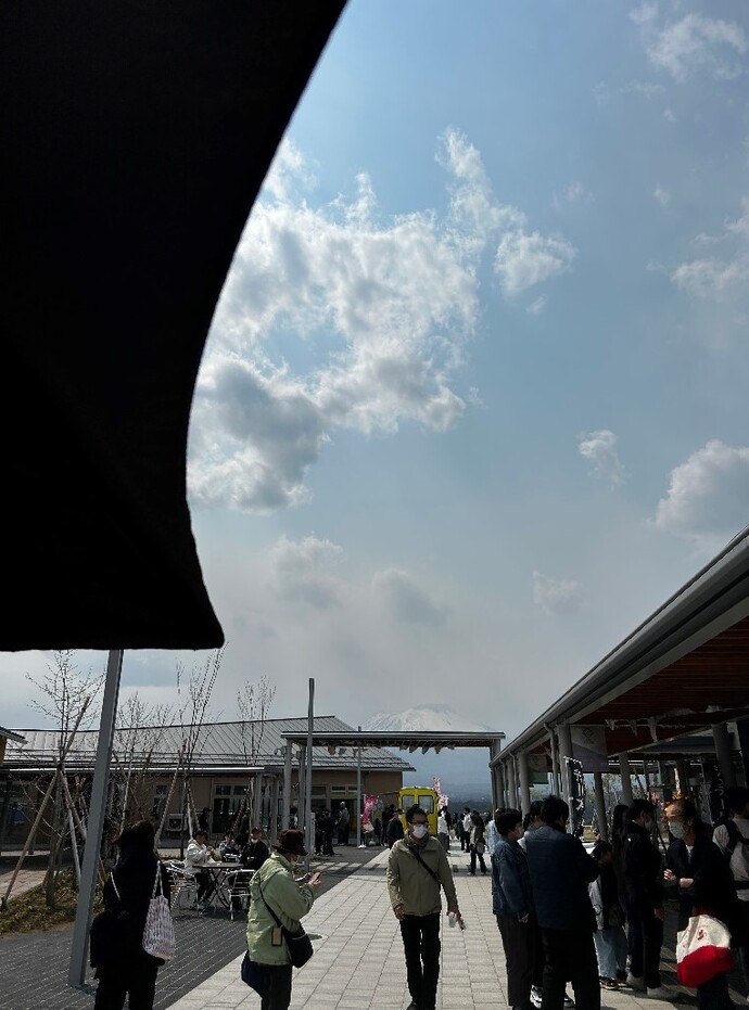 活動の様子