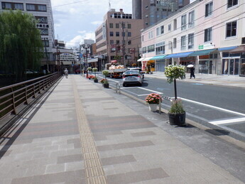 亀が池前に設置したハンギングバスケット（一枚目）