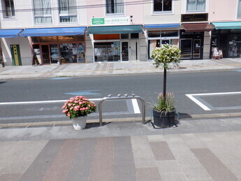 亀が池前に設置したハンギングバスケット（二枚目）