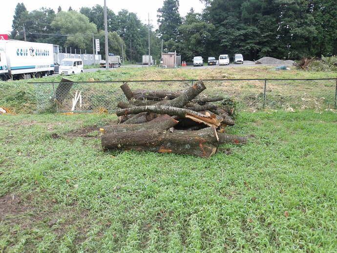 現地写真