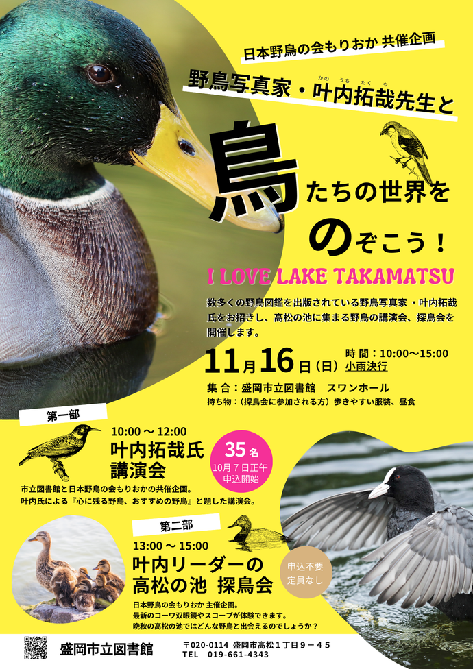 野鳥1