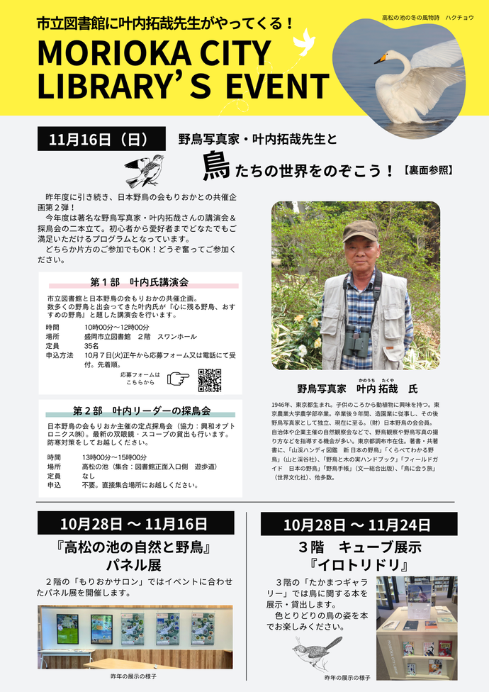 野鳥2