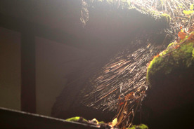 損傷した茅葺屋根