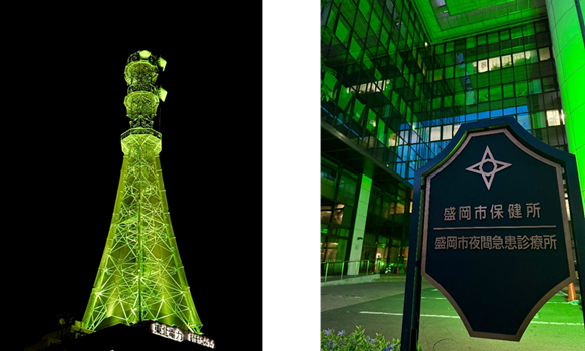 東北電力ネットワーク（株）岩手支社無線鉄塔 保健所