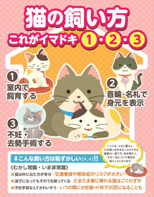 猫の適正飼養についての画像
