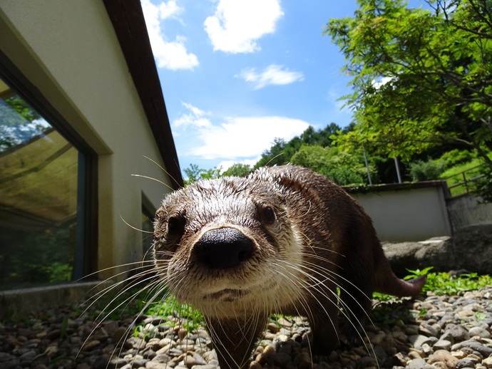 吹き矢体験の様子