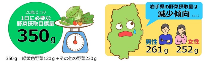 20歳以上の日本人に必要な野菜摂取目標量は350g