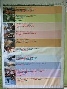 活動の様子