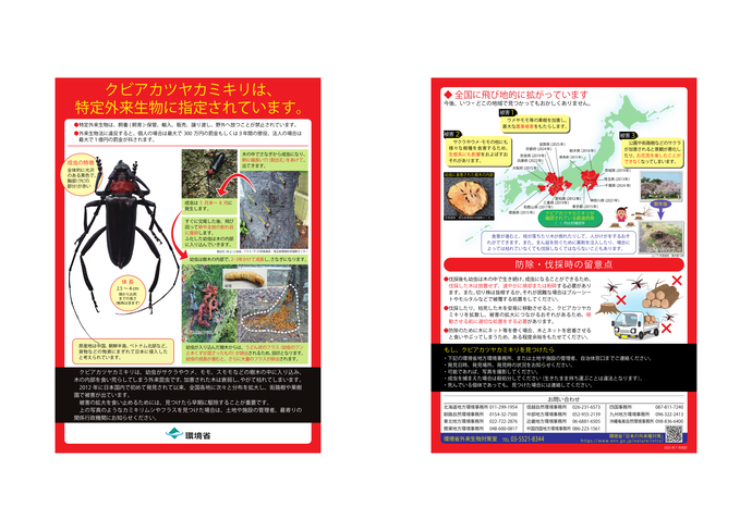 (環境省資料)クビアカツカミキリ