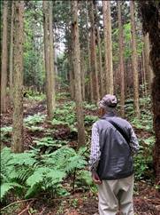 活動の様子