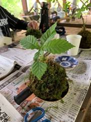 活動の様子