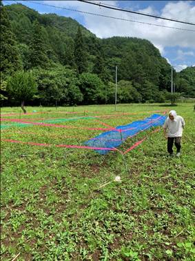 活動の様子