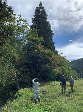 活動の様子